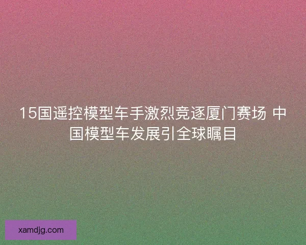 15国遥控模型车手激烈竞逐厦门赛场 中国模型车发展引全球瞩目 15国遥控模型车手激烈竞逐厦门赛场 中国模型车发展引全球瞩目